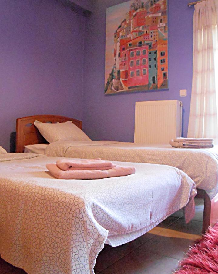 Secret Garden 76 Sq.M. Apartment Close To City Center Ioannina Exterior photo